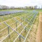 Farma fotowoltaiczna na systemie konstrukcji Reca Solar RS-2/M Uniwersalny
